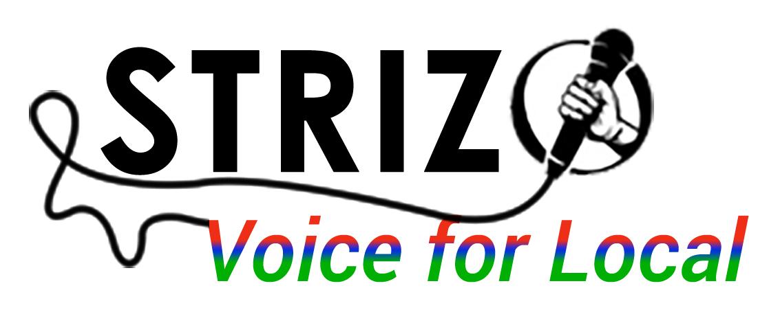 Strizo / Magazine Multilingual System